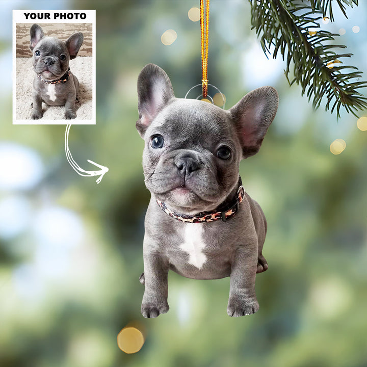 Pawfect Gift - Personalized Photo Mica Ornament - Christmas Gift For Pet Lovers