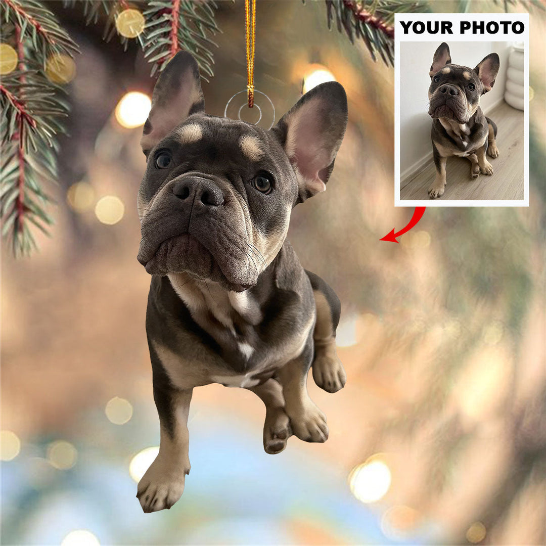 Pawfect Holiday - Personalized Photo Mica Ornament - Christmas Gift For Pet Lovers