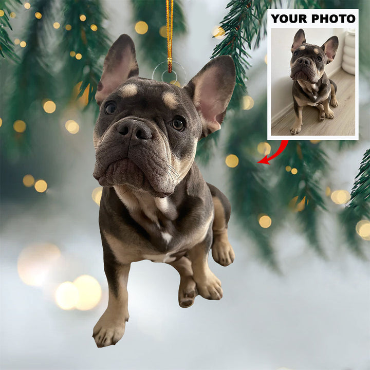 Pawfect Holiday - Personalized Photo Mica Ornament - Christmas Gift For Pet Lovers