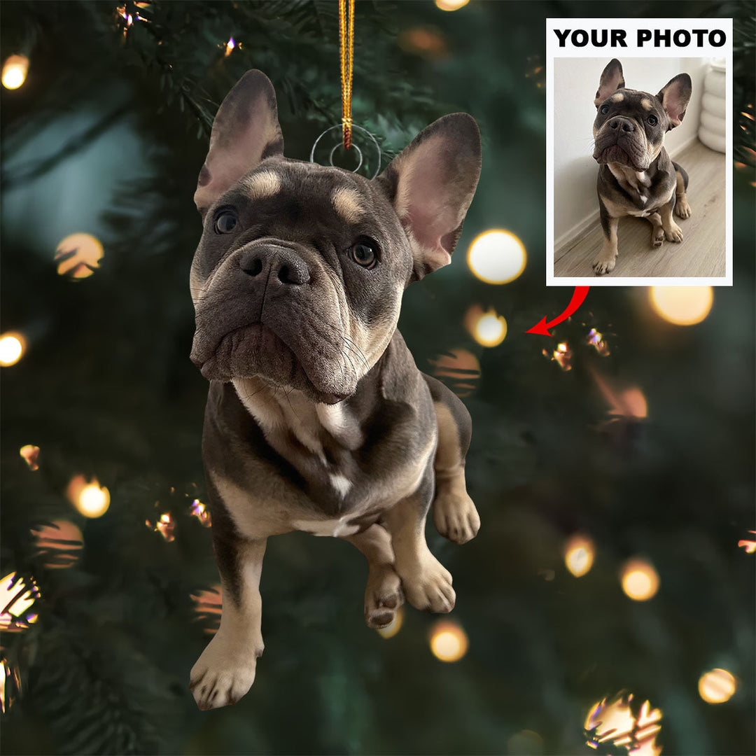 Pawfect Holiday - Personalized Photo Mica Ornament - Christmas Gift For Pet Lovers