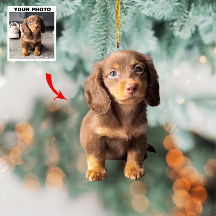 Pawfect Memory - Personalized Photo Mica Ornament - Christmas Gift For Pet Lovers