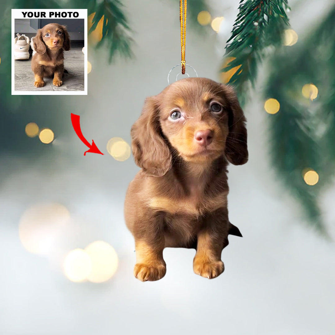 Pawfect Memory - Personalized Photo Mica Ornament - Christmas Gift For Pet Lovers