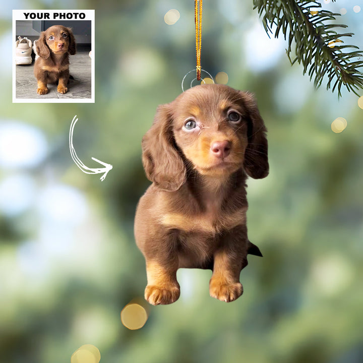 Pawfect Memory - Personalized Photo Mica Ornament - Christmas Gift For Pet Lovers