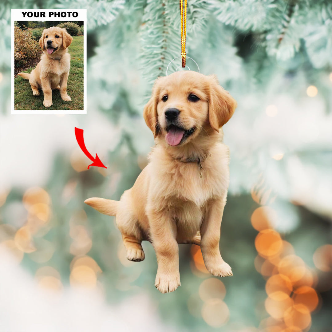 Pawmark Ornament - Personalized Photo Mica Ornament - Christmas Gift For Pet Lovers