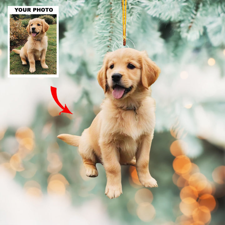 Pawmark Ornament - Personalized Photo Mica Ornament - Christmas Gift For Pet Lovers