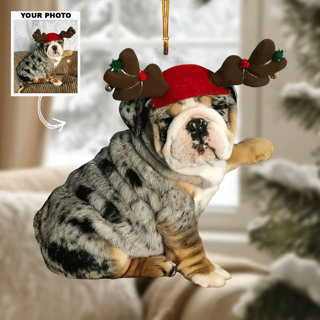 Playful Reindeer - Personalized Photo Mica Ornament - Gift For Dog Lovers, Pet Lovers, Dog Mom, Dog Dad