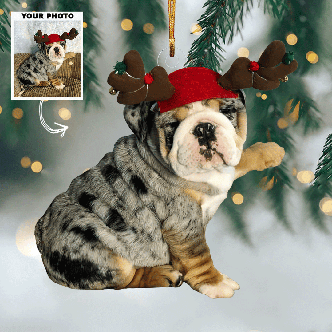 Playful Reindeer - Personalized Photo Mica Ornament - Gift For Dog Lovers, Pet Lovers, Dog Mom, Dog Dad