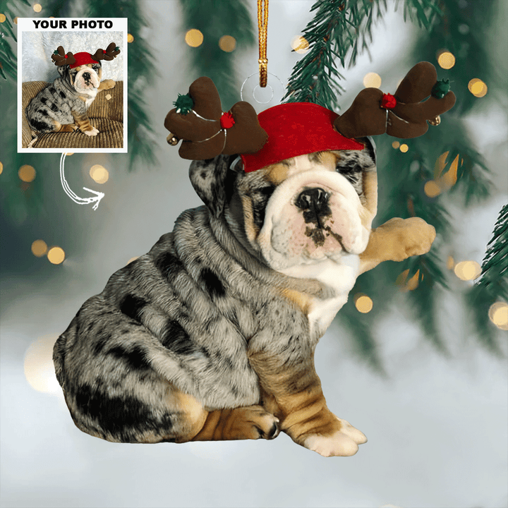 Playful Reindeer - Personalized Photo Mica Ornament - Gift For Dog Lovers, Pet Lovers, Dog Mom, Dog Dad