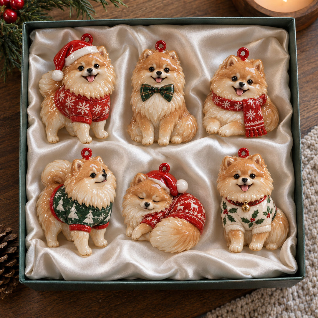 Pomeranian Moments Acrylic Ornament Gift Set NCU0HT281