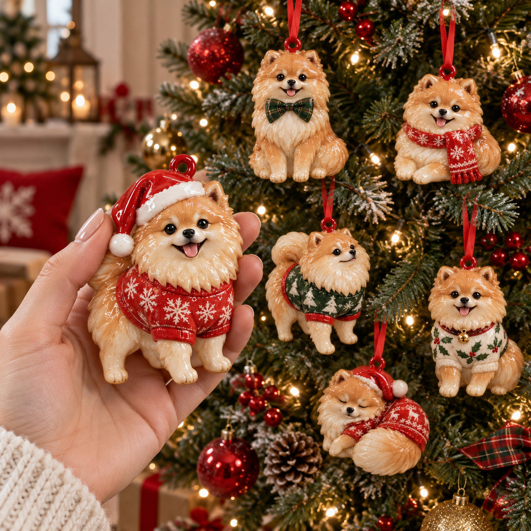 Pomeranian Moments Acrylic Ornament Gift Set NCU0HT281