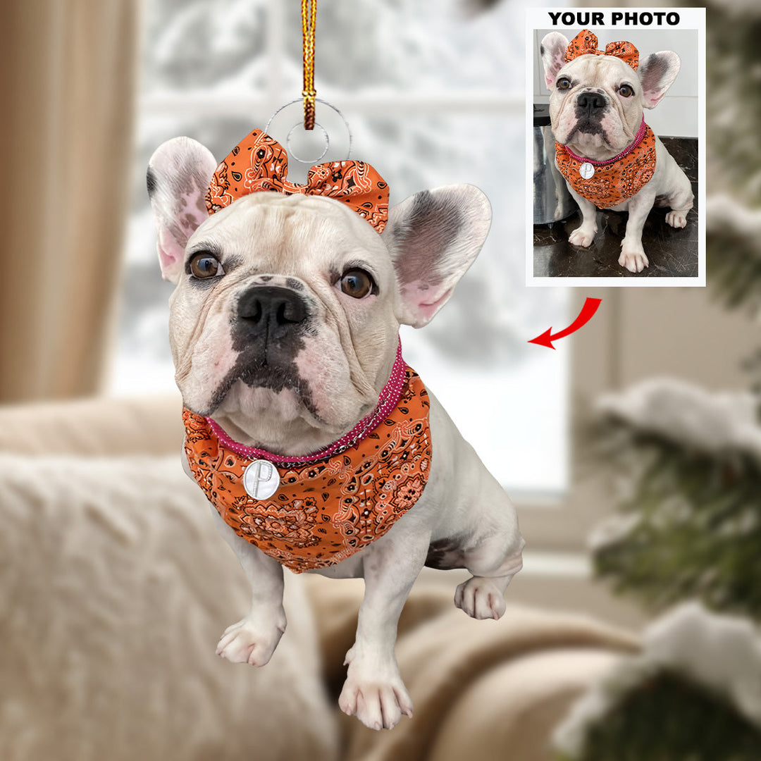 Proud Moment - Personalized Photo Mica Ornament - Gift For Dog Lovers, Pet Lovers, Dog Mom, Dog Dad