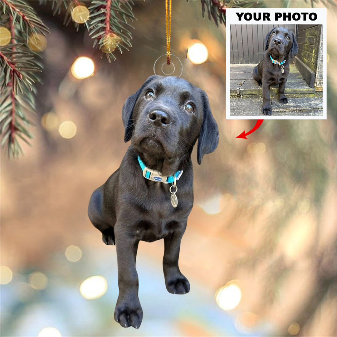 Customized Your Photo Ornament - Personalized Photo Mica Ornament - Christmas Gifts For Pet Lover