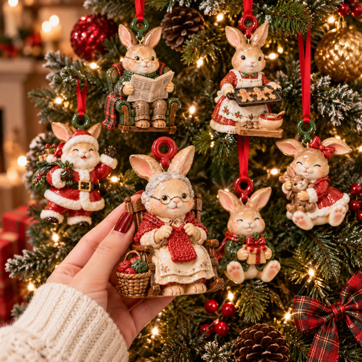 Rabbit Family Holiday Acrylic Ornament Gift Set NCU0HT246