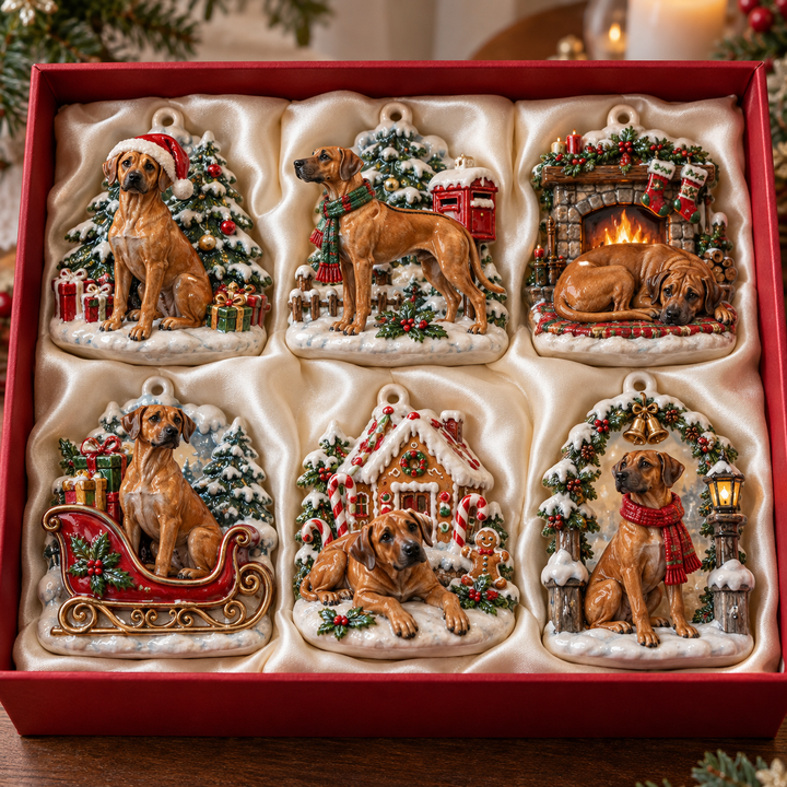 Rhodesian Ridgeback Christmas Acrylic Ornament Gift Set NCU0TM178