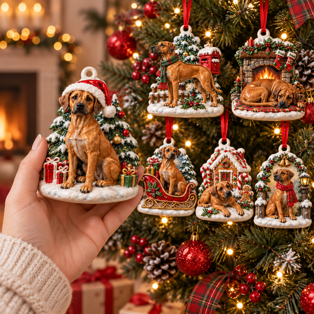 Rhodesian Ridgeback Christmas Acrylic Ornament Gift Set NCU0TM178