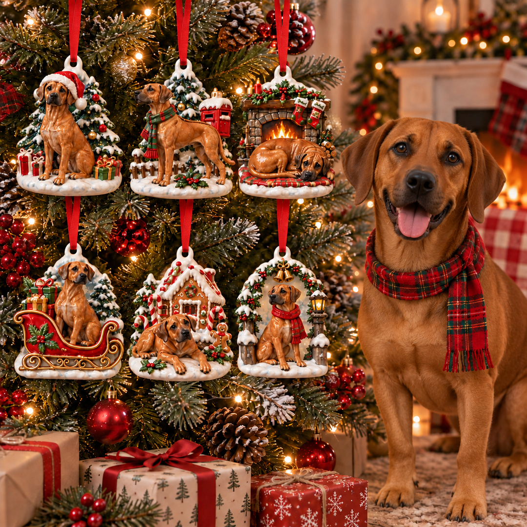 Rhodesian Ridgeback Christmas Acrylic Ornament Gift Set NCU0TM178