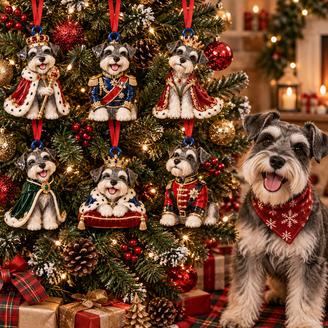 Royal Schnauzer Acrylic Ornament Gift Set NCU0HT249