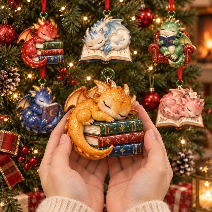 Sleeping Bookish Dragon Acrylic Ornament Gift Set NCU0HT161