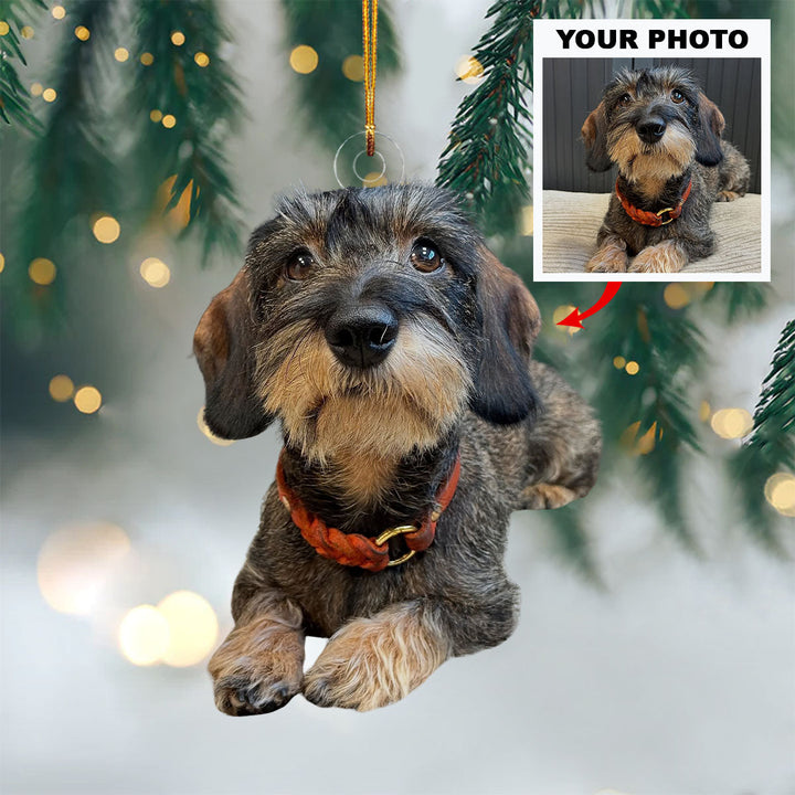 Snuggly Paws - Personalized Photo Mica Ornament - Christmas Gift For Pet Lovers