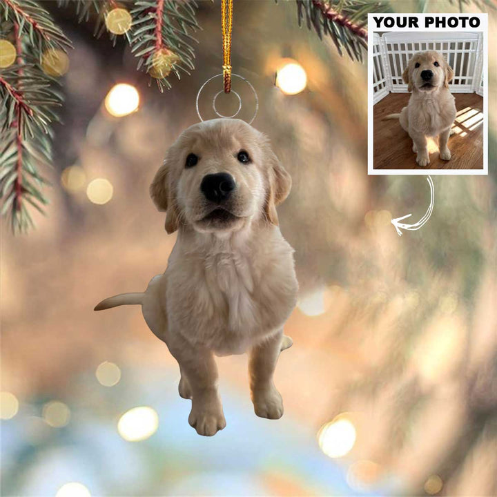 Paws of Joy - Personalized Photo Mica Ornament - Christmas Gift For Pet Lovers