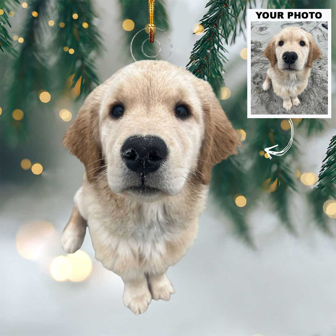 Paws of Joy - Personalized Photo Mica Ornament - Christmas Gift For Pet Lovers