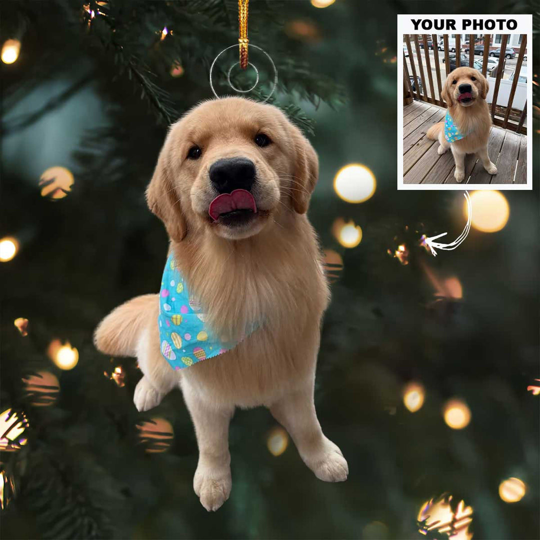 Paws of Joy - Personalized Photo Mica Ornament - Christmas Gift For Pet Lovers