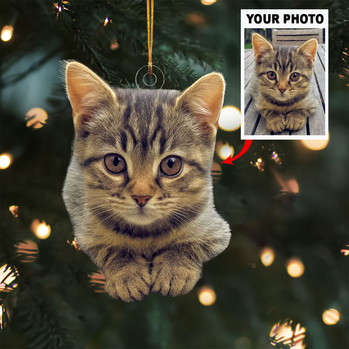 Feline Festivities - Personalized Photo Mica Ornament - Christmas Gift For Pet Lovers