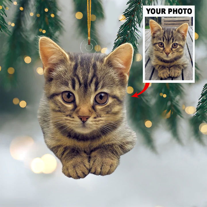Feline Festivities - Personalized Photo Mica Ornament - Christmas Gift For Pet Lovers