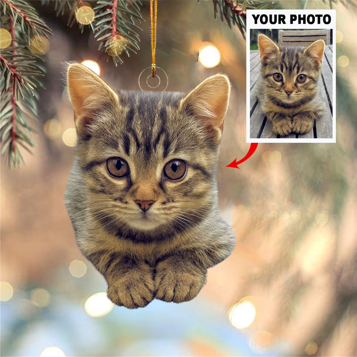 Feline Festivities - Personalized Photo Mica Ornament - Christmas Gift For Pet Lovers