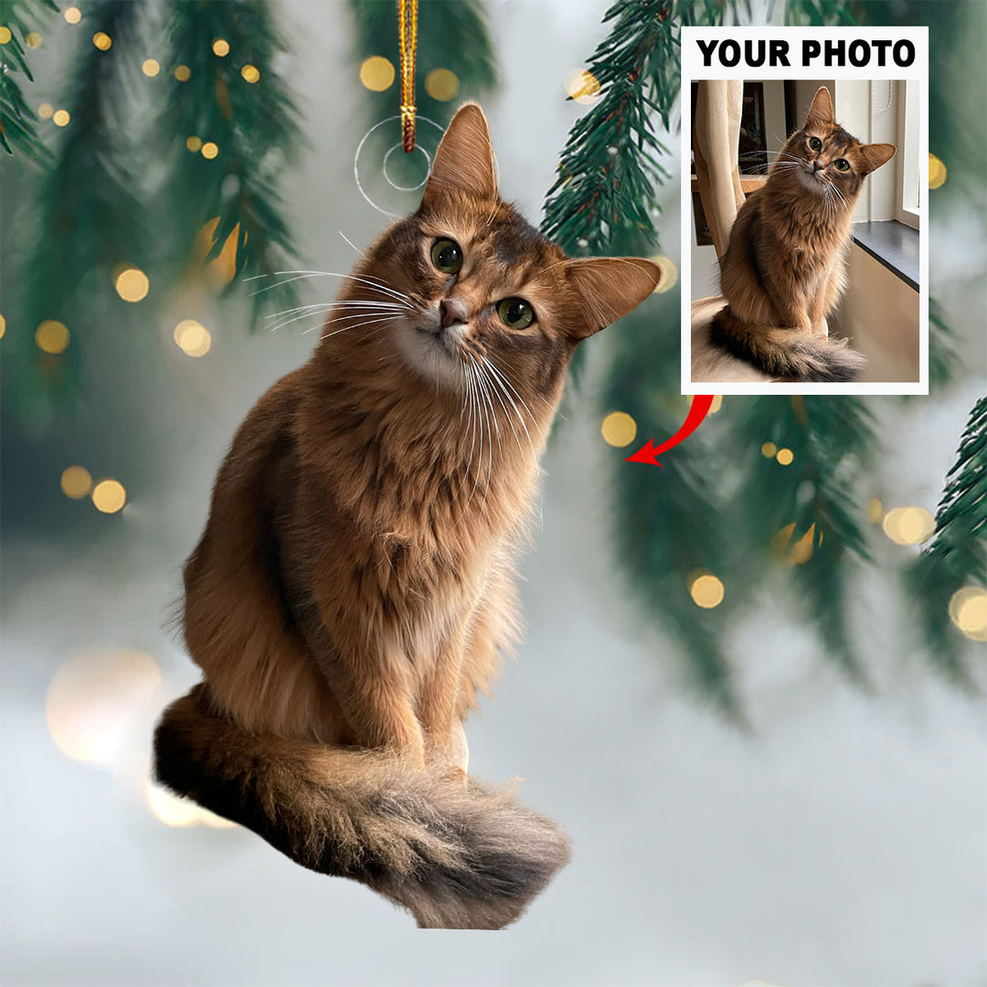 Purrfect Holiday - Personalized Photo Mica Ornament - Christmas Gift For Pet Lovers