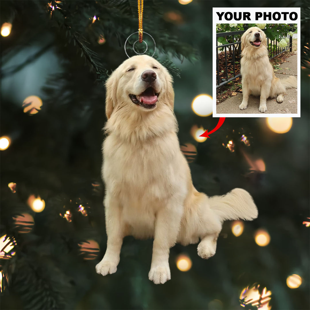 Frosty Friends - Personalized Photo Mica Ornament - Christmas Gift For Pet Lovers