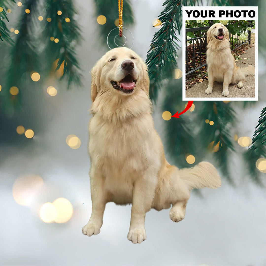 Frosty Friends - Personalized Photo Mica Ornament - Christmas Gift For Pet Lovers