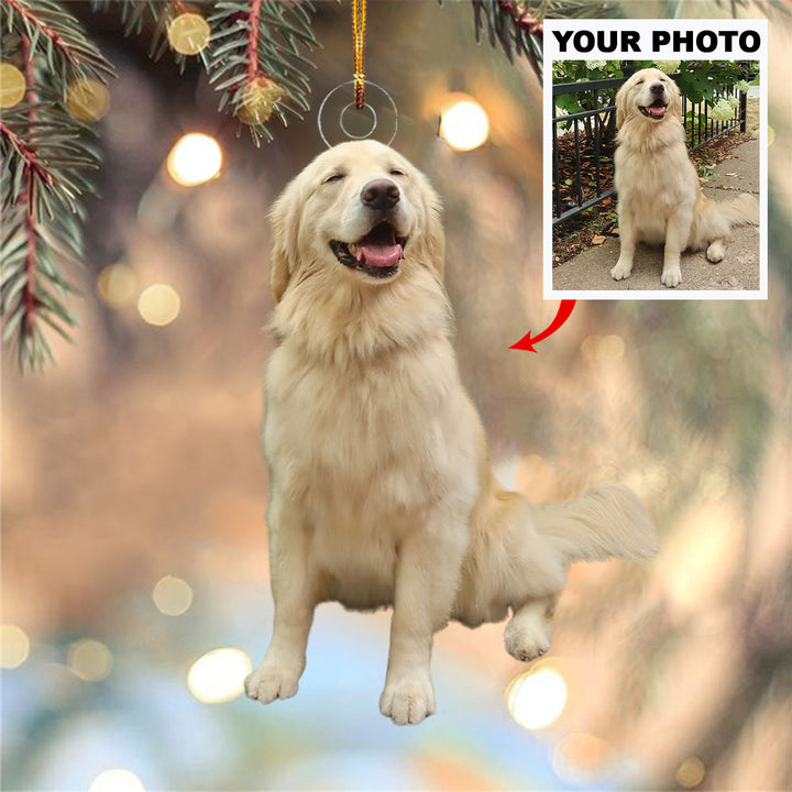 Frosty Friends - Personalized Photo Mica Ornament - Christmas Gift For Pet Lovers
