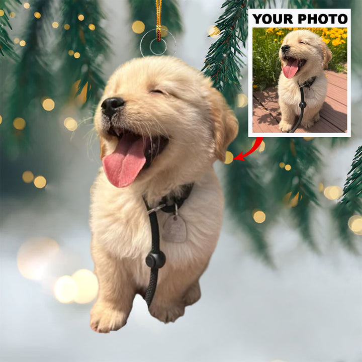 Paws of Joy - Personalized Photo Mica Ornament - Christmas Gift For Pet Lovers