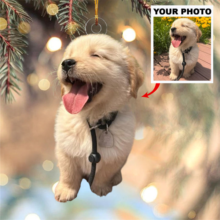Paws of Joy - Personalized Photo Mica Ornament - Christmas Gift For Pet Lovers
