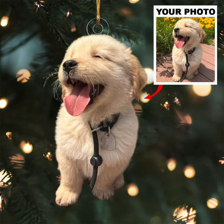 Paws of Joy - Personalized Photo Mica Ornament - Christmas Gift For Pet Lovers