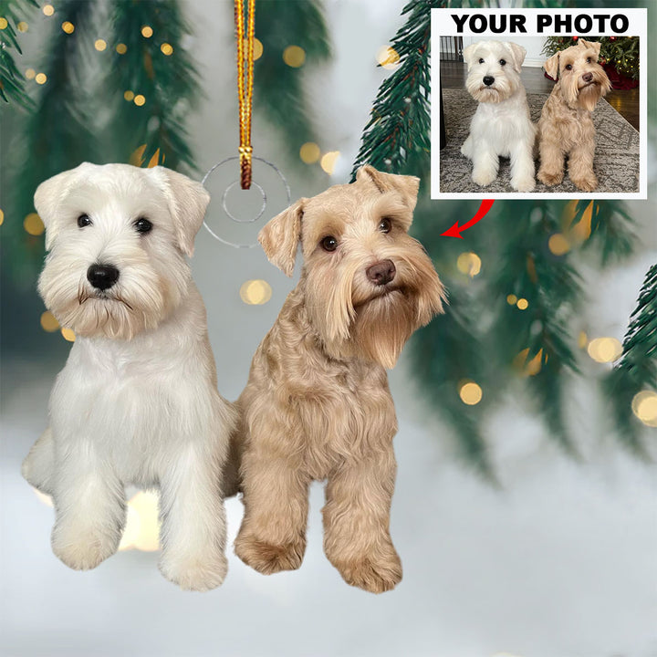 Snowflake Paws - Personalized Photo Mica Ornament - Christmas Gift For Pet Lovers