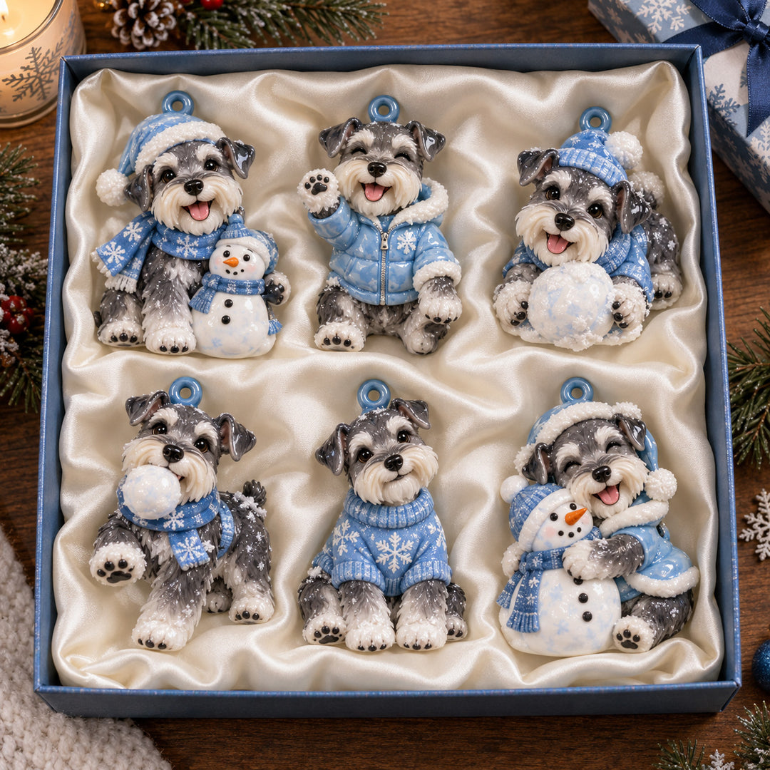 Winter Snow Schnauzer Acrylic Ornament Gift Set NCU0HT248