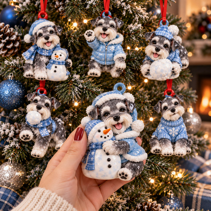 Winter Snow Schnauzer Acrylic Ornament Gift Set NCU0HT248