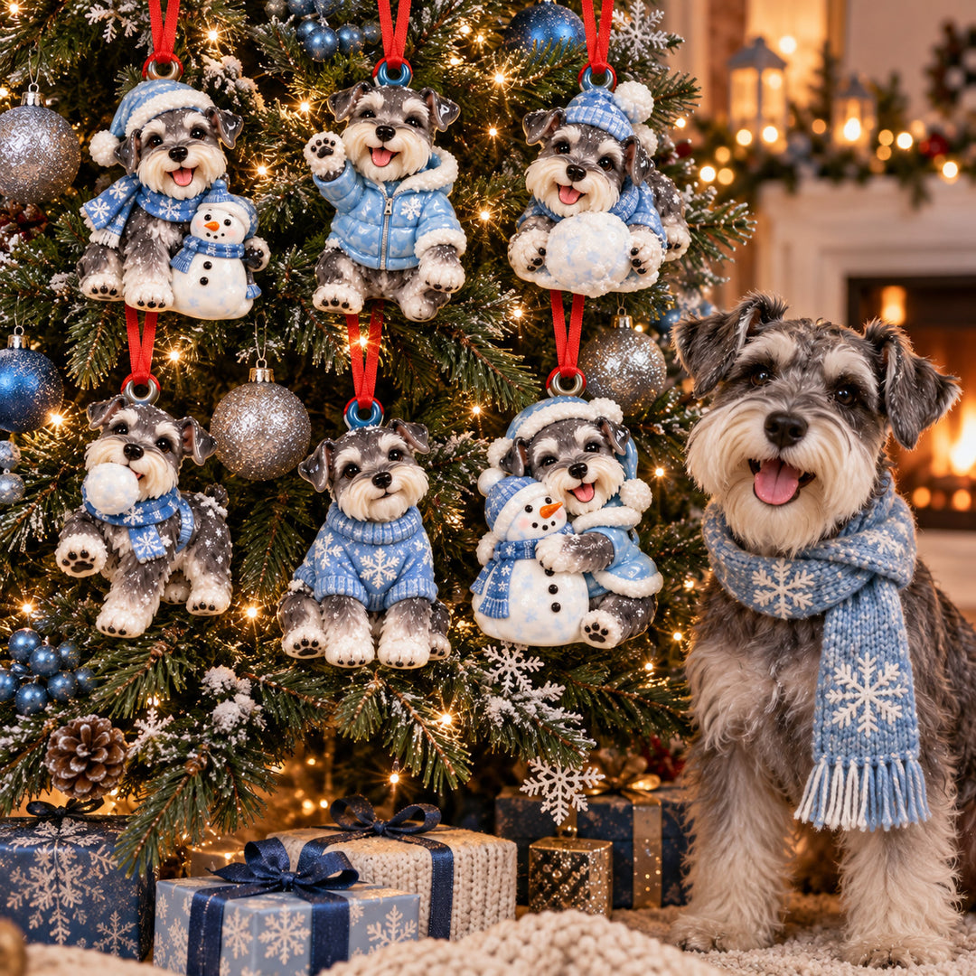 Winter Snow Schnauzer Acrylic Ornament Gift Set NCU0HT248