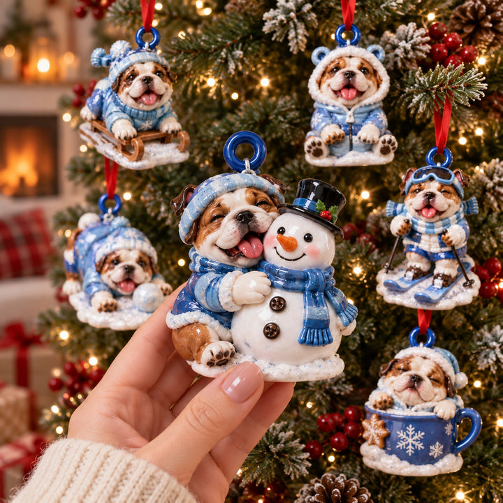 Winter Time Bulldog Acrylic Ornament Gift Set NCU0HT242