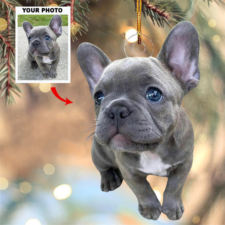 Woof Wonderland - Personalized Photo Mica Ornament - Gift For Pet Lovers, Pet Owners, Family Members