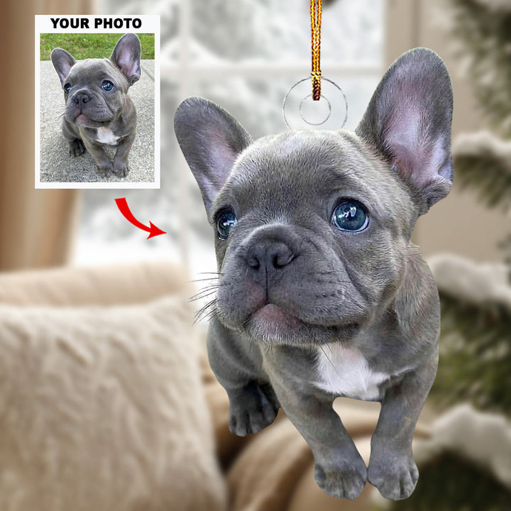 Woof Wonderland - Personalized Photo Mica Ornament - Gift For Pet Lovers, Pet Owners, Family Members