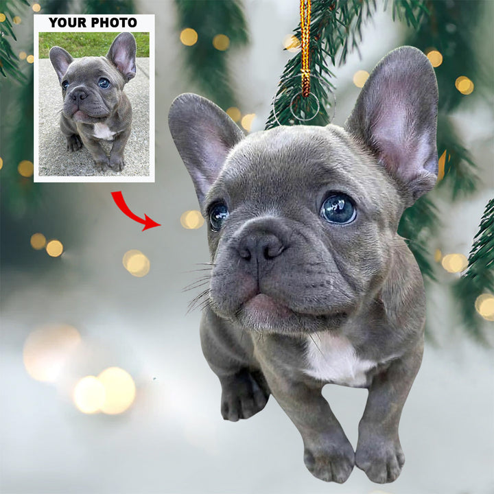 Woof Wonderland - Personalized Photo Mica Ornament - Gift For Pet Lovers, Pet Owners, Family Members