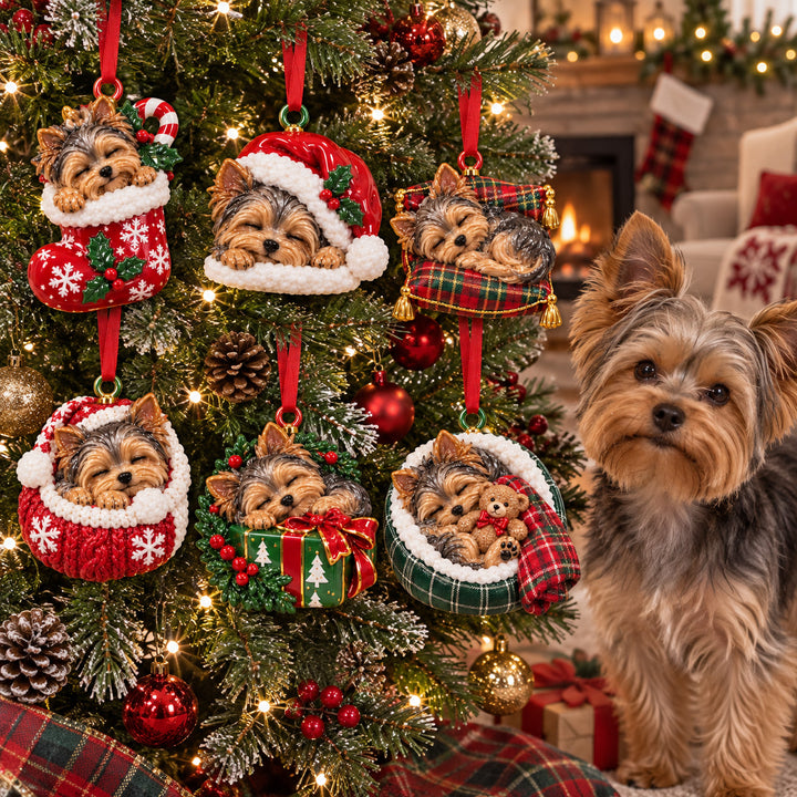 Xmas Sleepy Yorkie Acrylic Ornament Gift Set NCU0HT189