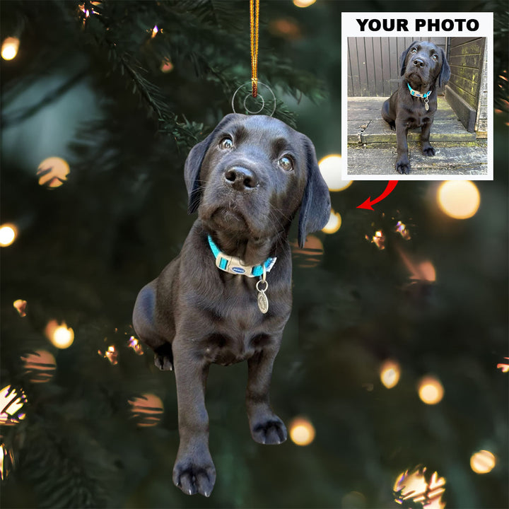 Puppy Paws - Personalized Photo Mica Ornament - Christmas Gift For Pet Lovers