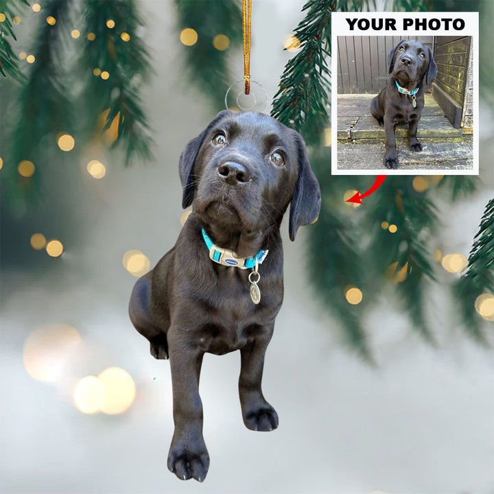 Puppy Paws - Personalized Photo Mica Ornament - Christmas Gift For Pet Lovers