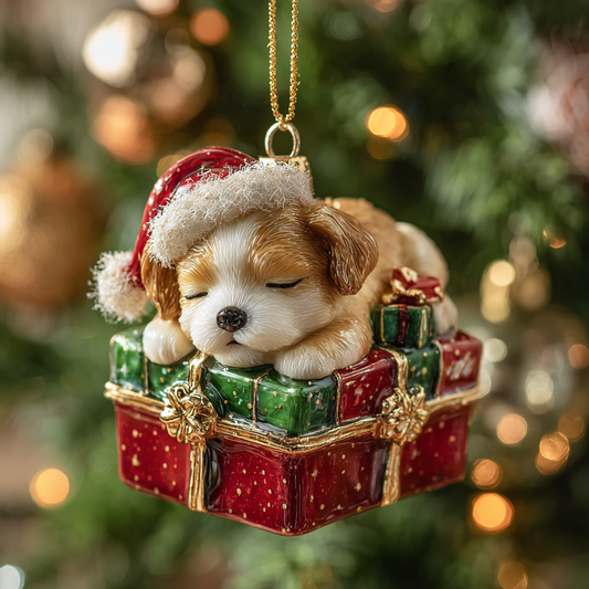 Sleepy Buddy Mica Ornament NCU0DH134