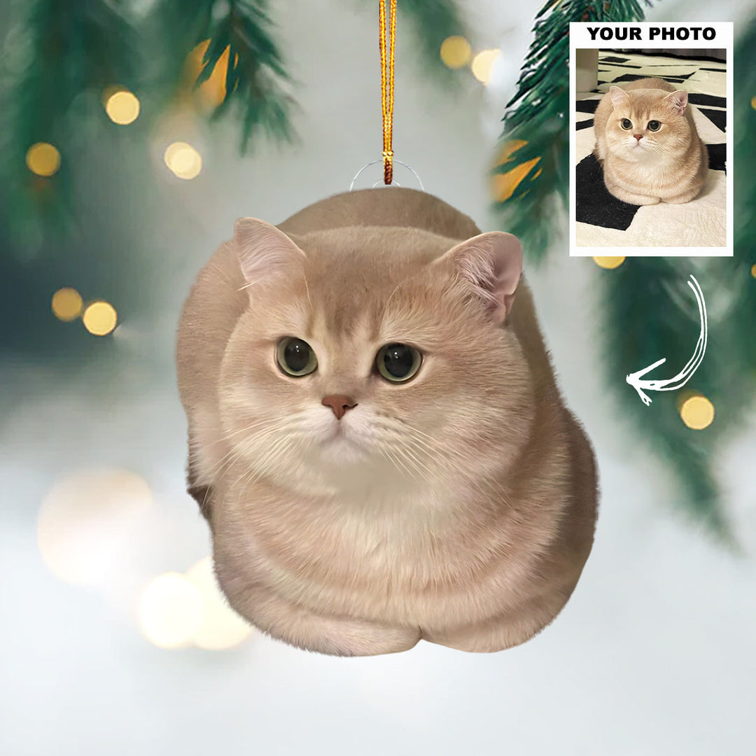 Little Paws - Personalized Photo Mica Ornament - Customized Your Photo Ornament - Christmas Gift For Pet Lovers