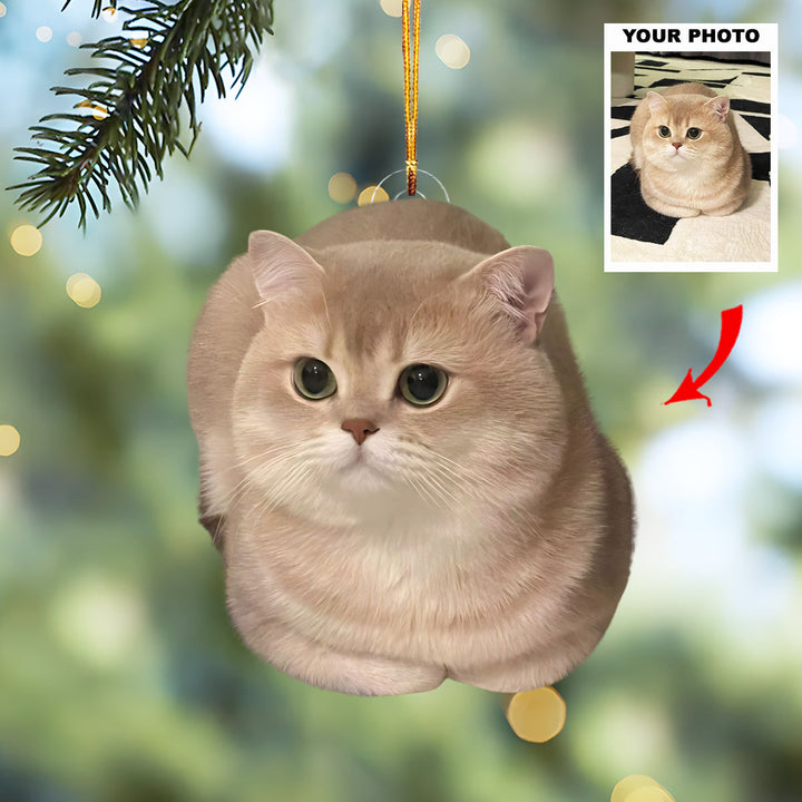 Little Paws - Personalized Photo Mica Ornament - Customized Your Photo Ornament - Christmas Gift For Pet Lovers